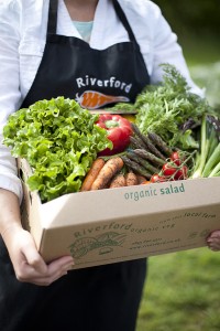 Riverford_salad_box